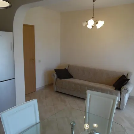 Svetlana Apartament بودغوريتْسا